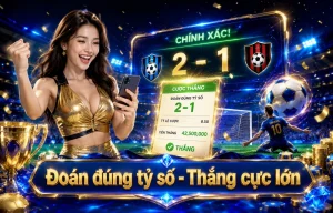 assuranceiom thể thao